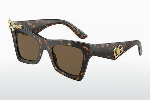 Sunglasses Dolce & Gabbana DG4434 502/73
