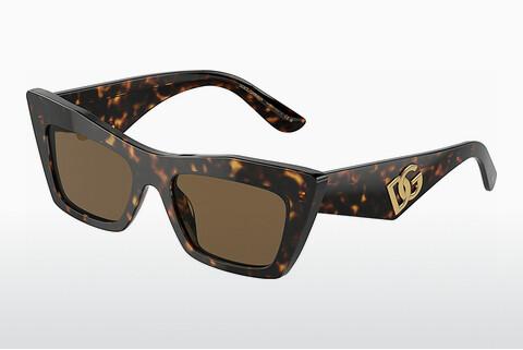 Solglasögon Dolce & Gabbana DG4435 502/73