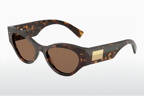 Saulesbrilles Dolce & Gabbana DG4480 502/73