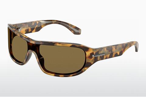 Sonnenbrille Dolce & Gabbana DG4486 343773