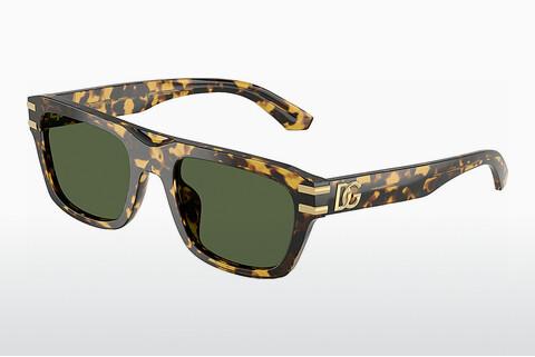 Sonnenbrille Dolce & Gabbana DG4496 333071