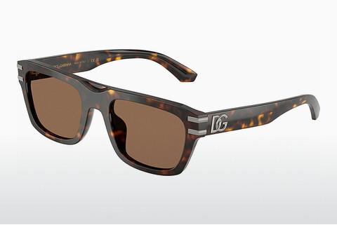 Sonnenbrille Dolce & Gabbana DG4496 502/73