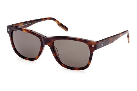 Solbriller Ermenegildo Zegna EZ0196 52N