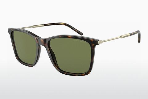 Sunglasses Giorgio Armani AR8176 50262A