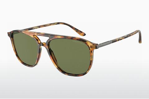 Sunglasses Giorgio Armani AR8179 54822A