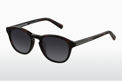 Sunglasses JB Rio (JBS101 3)