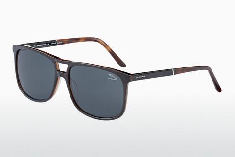 Sunglasses Jaguar 37119 4407