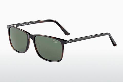 Sunglasses Jaguar 37120 8940
