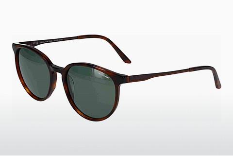 Sonnenbrille Jaguar 37262 4982