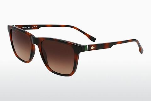 Kacamata surya Lacoste L6041S 214