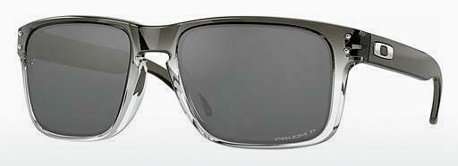 Solglasögon Oakley HOLBROOK (OO9102 9102O2)