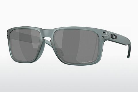 Akiniai nuo saulės Oakley HOLBROOK (OO9102 9102Z4)