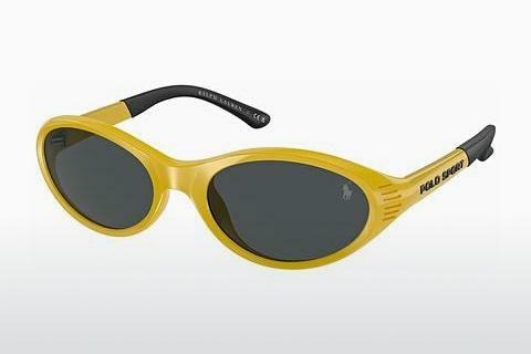 Sunglasses Polo PH4197U 596187