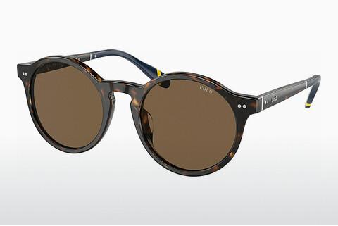 Sunglasses Polo PH4204U 500373