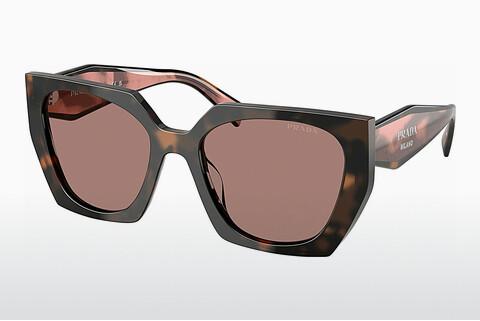 Sonnenbrille Prada PR 15WS 23A60B