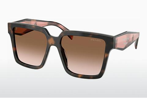 Sunglasses Prada PR 24ZS 23A0A6