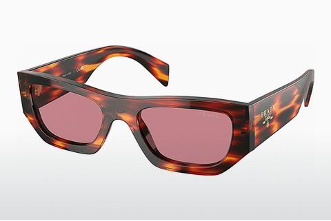 Sunglasses Prada PR A01S 13O80B