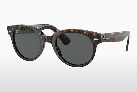 Solbriller Ray-Ban ORION (RB2199 902/B1)