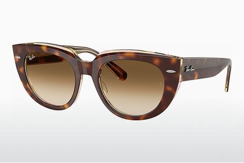 Sunglasses Ray-Ban DOREEN (RB2286 141451)