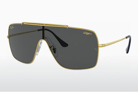 Solbriller Ray-Ban WINGS II (RB3697 924687)