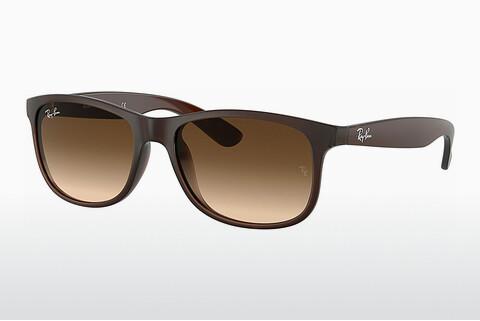 Solbriller Ray-Ban ANDY (RB4202 607313)