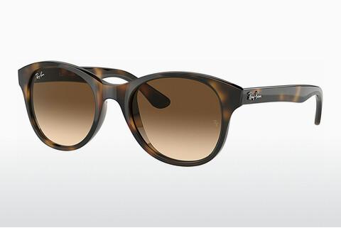 Solbriller Ray-Ban RB4203 710/13