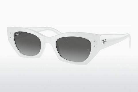 Sunglasses Ray-Ban ZENA (RB4430 675911)