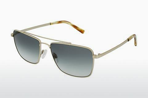 Zonnebril Rocco by Rodenstock RR104 E