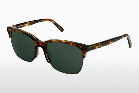 Saulesbrilles Rocco by Rodenstock RR108 B
