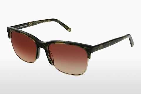 Saulesbrilles Rocco by Rodenstock RR108 C