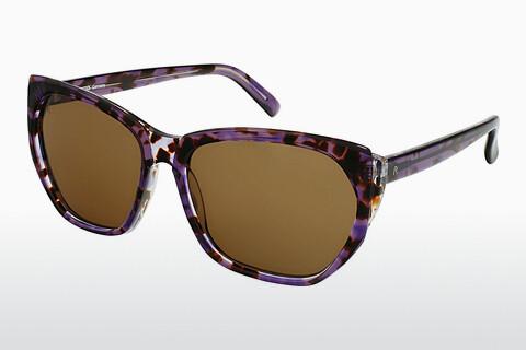 Sunglasses Rodenstock R3315 C