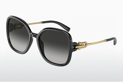 Sunglasses Tiffany TF4202U 80013C