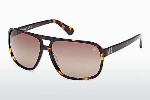 Sunglasses Timberland TB00031 52H