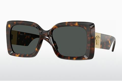 Solglasögon Versace VE4467U 108/87