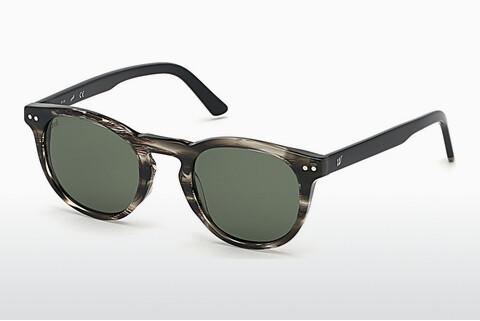 धूप का चश्मा Web Eyewear WE0251 20N