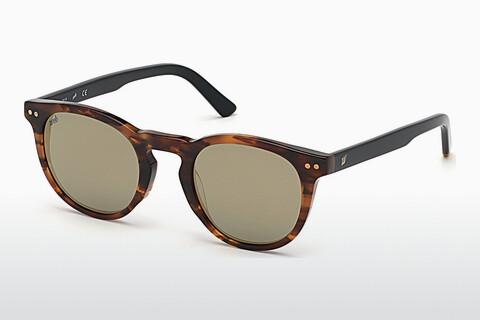 धूप का चश्मा Web Eyewear WE0251 56C