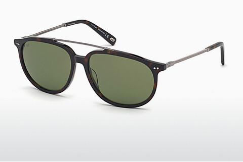Solglasögon Web Eyewear WE0256 52N