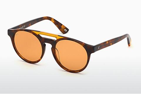 太陽眼鏡 Web Eyewear WE0262 56J