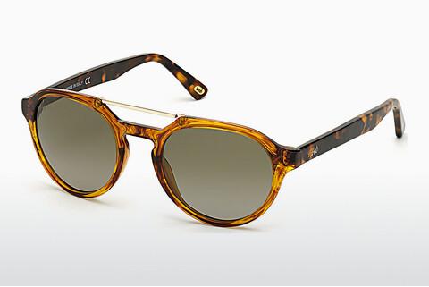 Saulesbrilles Web Eyewear WE0278 56R