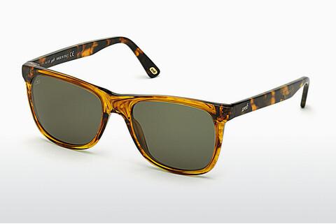 धूप का चश्मा Web Eyewear WE0279 56N