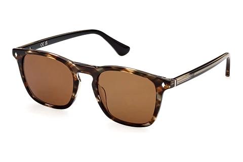Gafas de visión Web Eyewear WE0327 50E