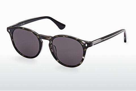 Sonnenbrille Web Eyewear WE0328 56E