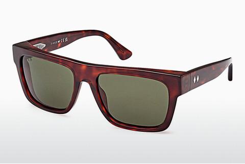 Solglasögon Web Eyewear WE0334 54N