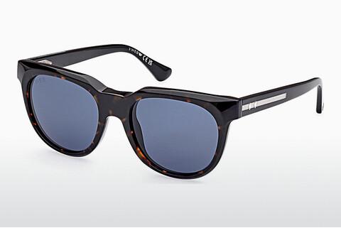 Saulesbrilles Web Eyewear WE0335 56V