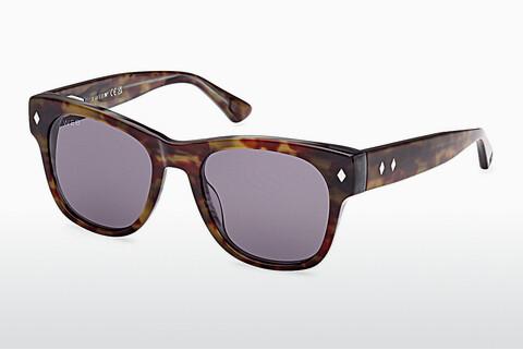 Sonnenbrille Web Eyewear WE0353 56A