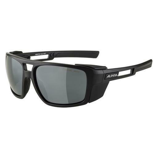 Sonnenbrille ALPINA SPORTS SKYWALSH (A8667 031)