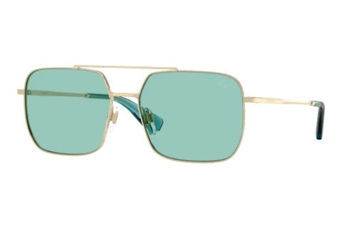 Ophthalmic Glasses Burberry BE3179 110972