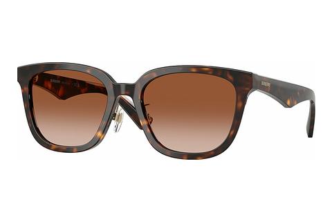 Sonnenbrille Burberry BE4446D 300213