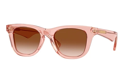 Solglasögon Burberry JB4002 421413