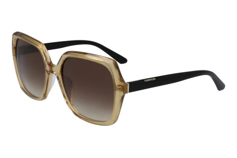 Ophthalmic Glasses Calvin Klein CK20541S 259